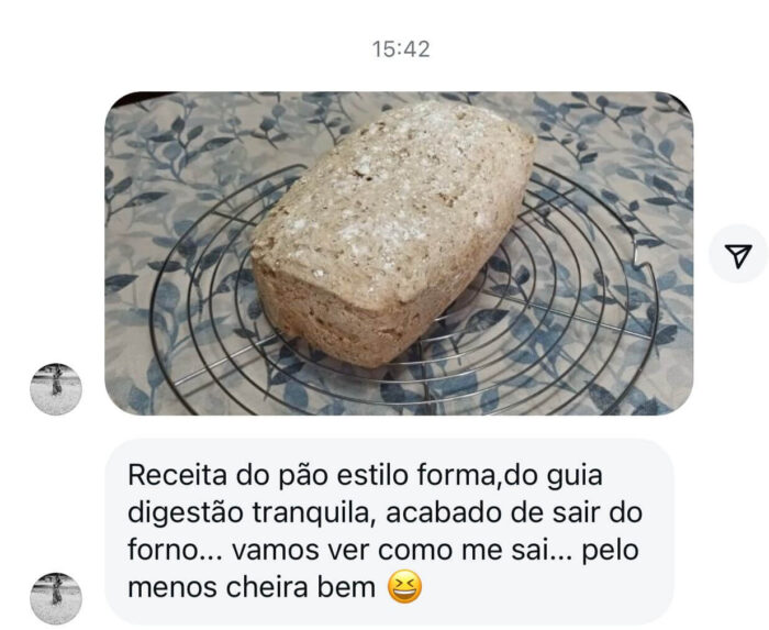 recriacoes low fodmap9